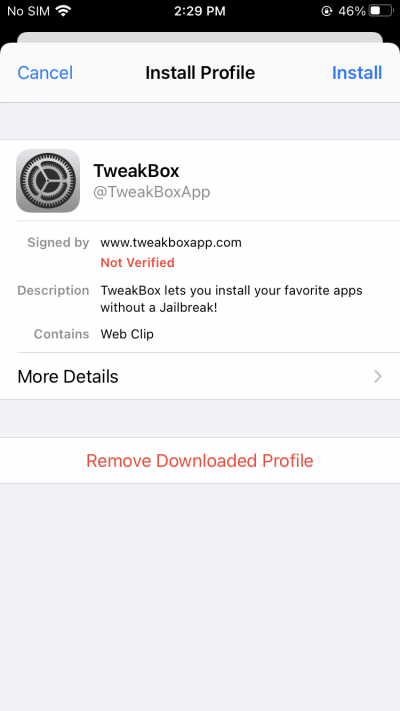 How to Install NES Emulator on iPhone? 5 Here click on the Profile downloaded option