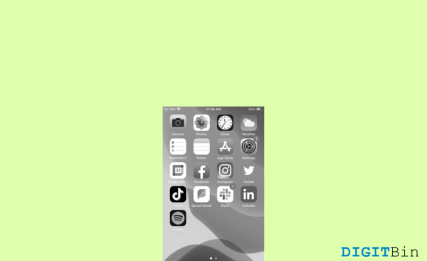 How To Fix It When Your iPhone Screen Turns Black and White
