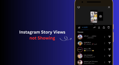 How to Fix Instagram story views not showing