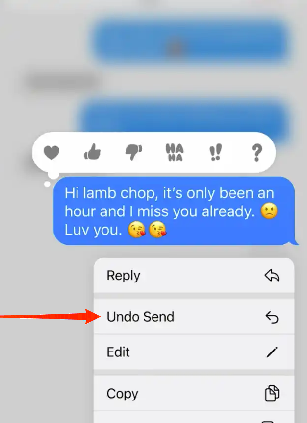 How to Edit or Unsend a iMessage on iPhone? 2 Unsend a Message on iPhone