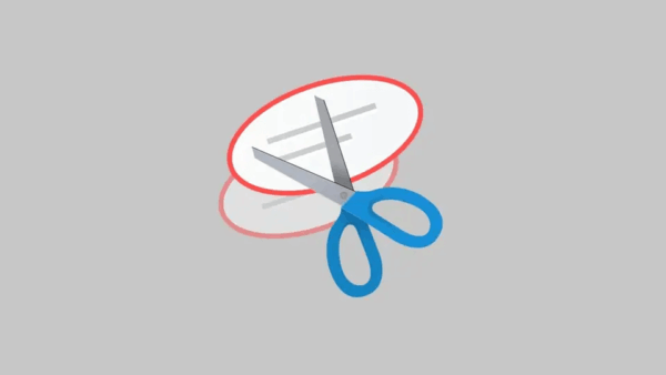 How to Fix Recording Stopped Error in Snipping Tool for Windows 11? 3