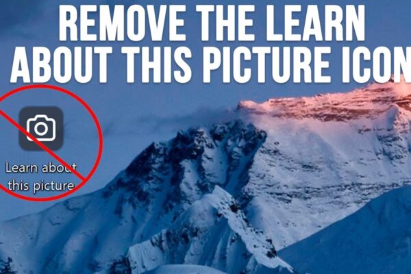 How to Remove the Spotlight Wallpaper Icon from Windows 11? 1