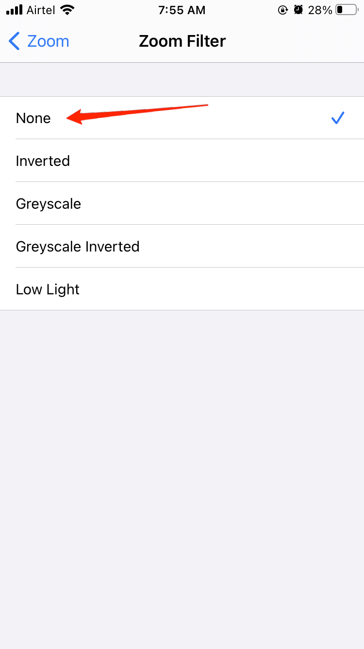 How to Fix iPhone Screen Turns Black and White? 7 greyscale filter iphone