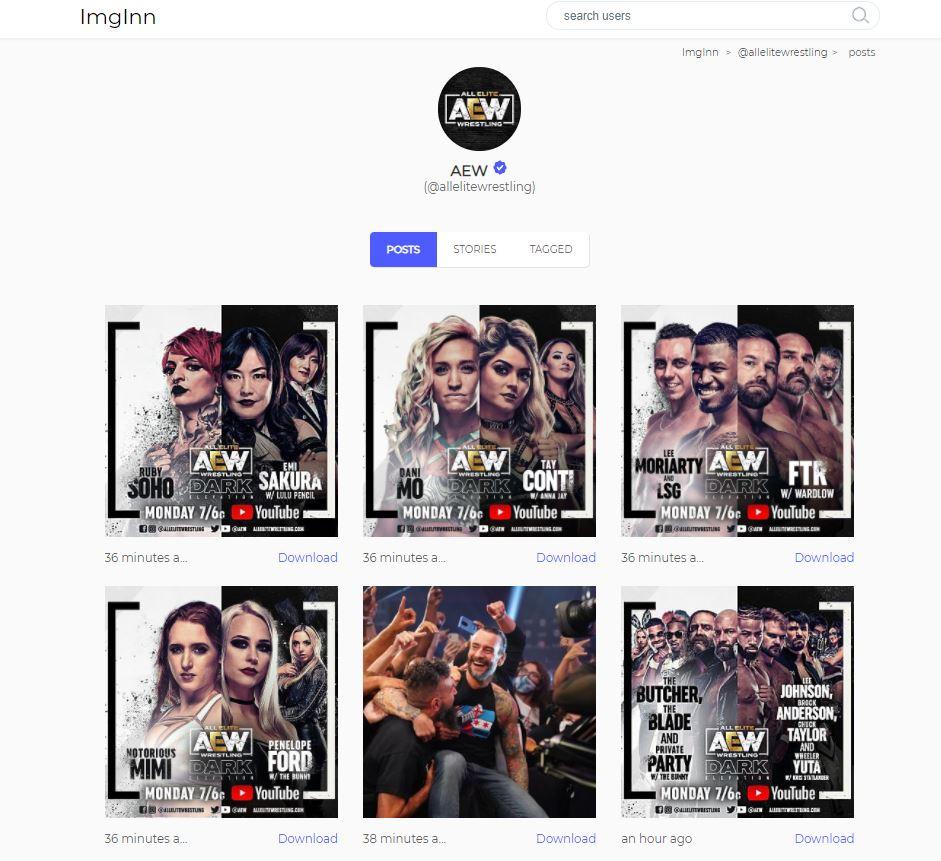 How To View Instagram Photos and Stories Without Account? 3 Imginn