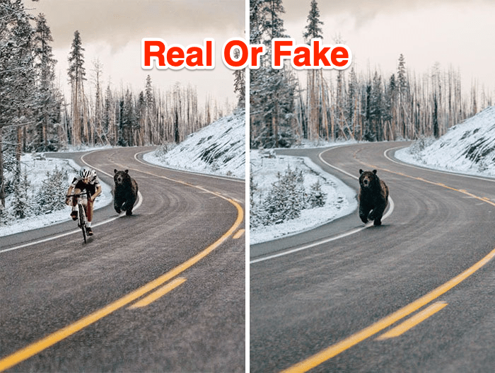 Real or Fake? Find if the Image is Edited or Photoshopped 1 Is this image Real or Fake