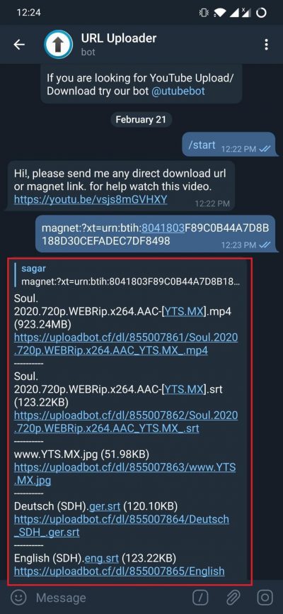 Just a few seconds later, the bot will give you all the files that it could fetc