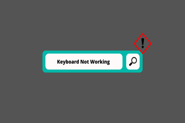 Keyboard Is Not Working on Windows Search Menu, How To Fix?