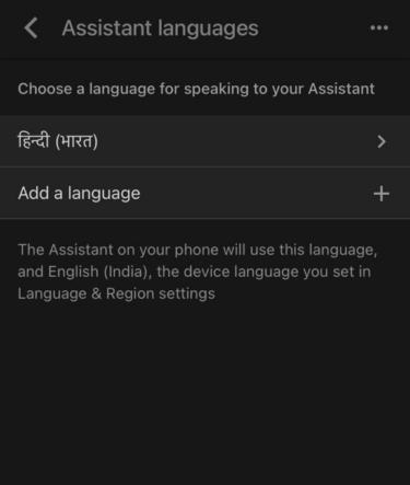 How to Fix Google Assistant Not Working on iPhone? 4 Language