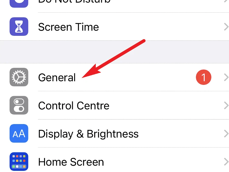 How to Exit the iOS 16 Beta Testing Program? 2 iphone general settings