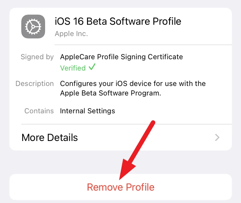 How to Exit the iOS 16 Beta Testing Program? 5 Leave the iOS 16 Beta Testing Program