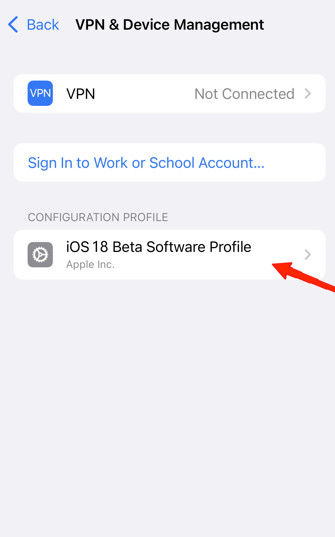 How to Downgrade From iOS 18 Beta to iOS 17 Without Losing Data 11 Locate the iOS 18 beta profile and tap on it.