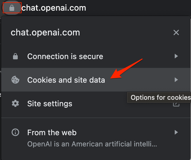 Lock icon on the ChatGPT