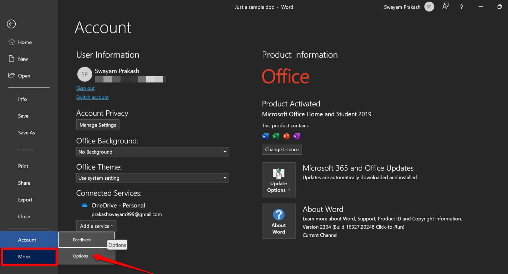 MS Word Options settings