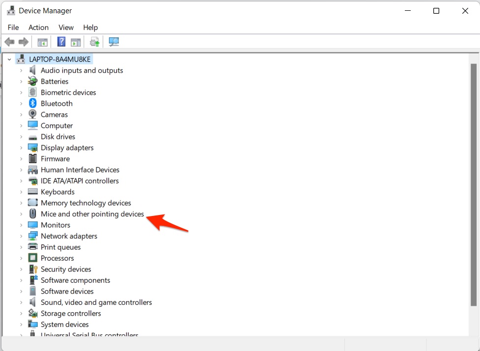 How to Fix Mouse Pointer or Cursor Freezes on Windows 11? 3 Mice_and_other_pointing_devices