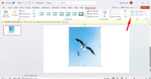 How to Crop a Picture Into a Circle in Microsoft PowerPoint 3 Click on Crop icon button
