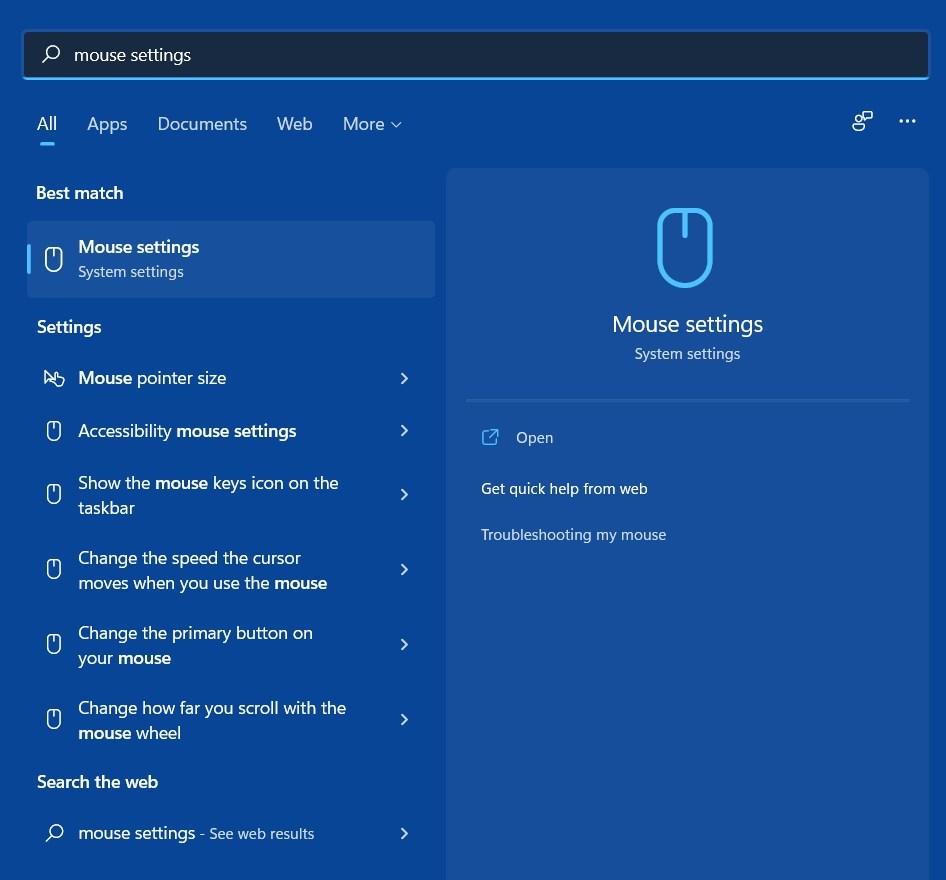 Mouse Settings
