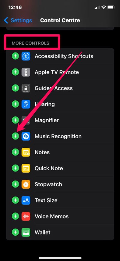 How to Get Live Lyrics Of a Song Playing Near You on iPhone? 4 Use Control Centre