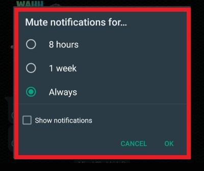 How to Hide Group Notifications on WhatsApp? 3 Mute Notifications for..