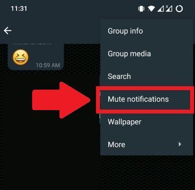 How to Hide Group Notifications on WhatsApp? 2 Mute Notifications