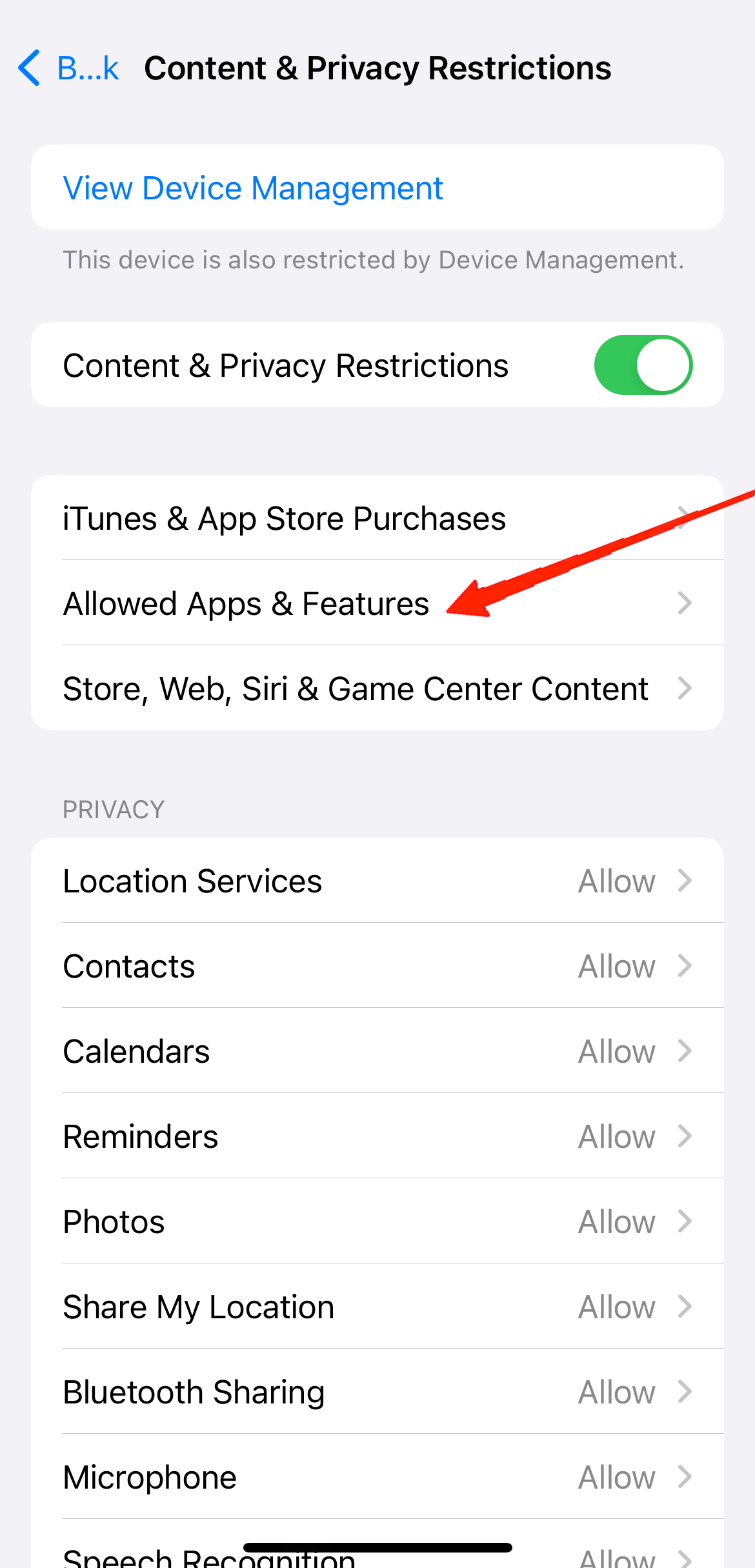 5 Tips to Stop Triggering Camera Control Accidentally on iPhone 20 Next, tap on 'Allowed apps'.