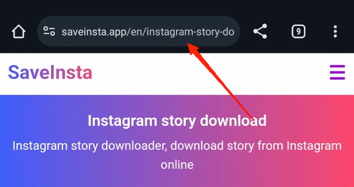 How to Download Instagram Reels Without Watermark 7 Once you have copied the link to that reel, visit one of the above-mentioned websites