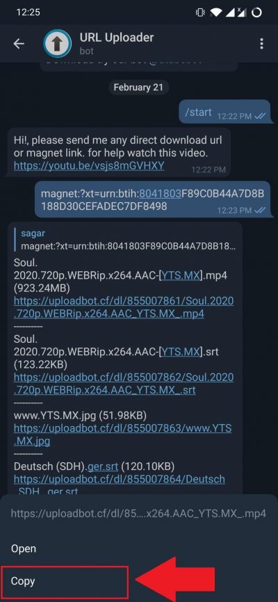 Once you have found the file, long press and copy the link