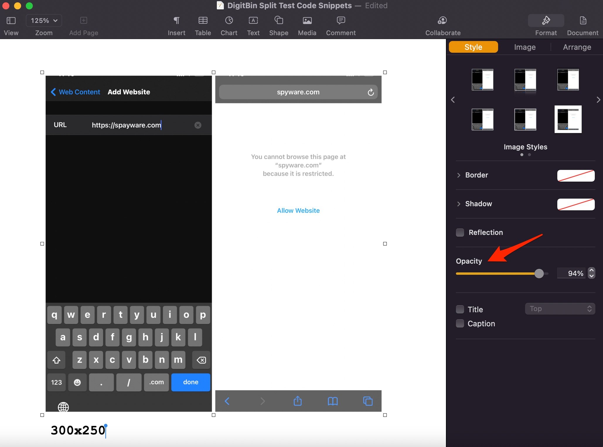How to Make an Image Transparent on Windows and Mac? 10 Opacity slider on the Style tab