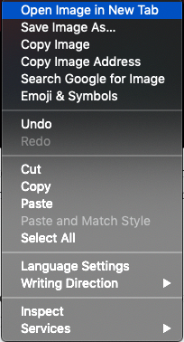 'Couldn’t Load Image, Tap to Retry' Error on Instagram 3 Open Insta Image in New Tab