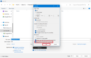 Allow encrypt the document with a password 