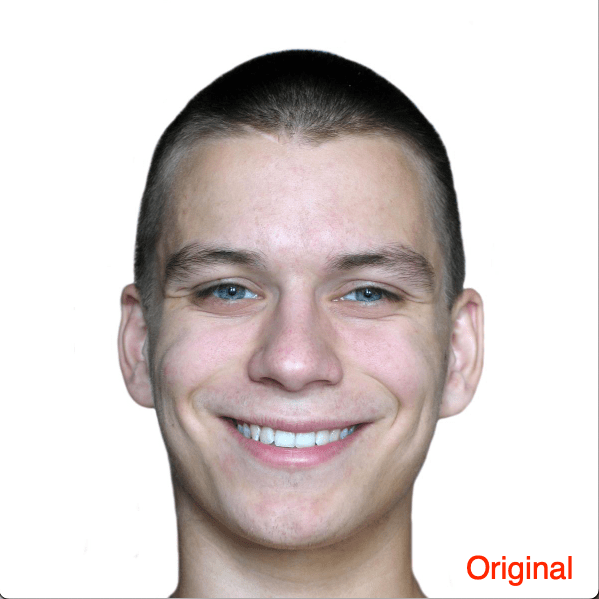 Real or Fake? Find if the Image is Edited or Photoshopped 3 Real or Fake? Find if the Image is Edited or Photoshopped 1