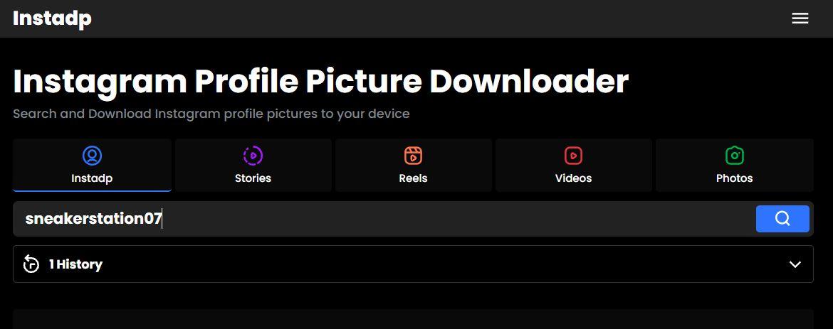 How to View Full-Size Instagram Photos? 8 Paste the username that you just copied in the search field