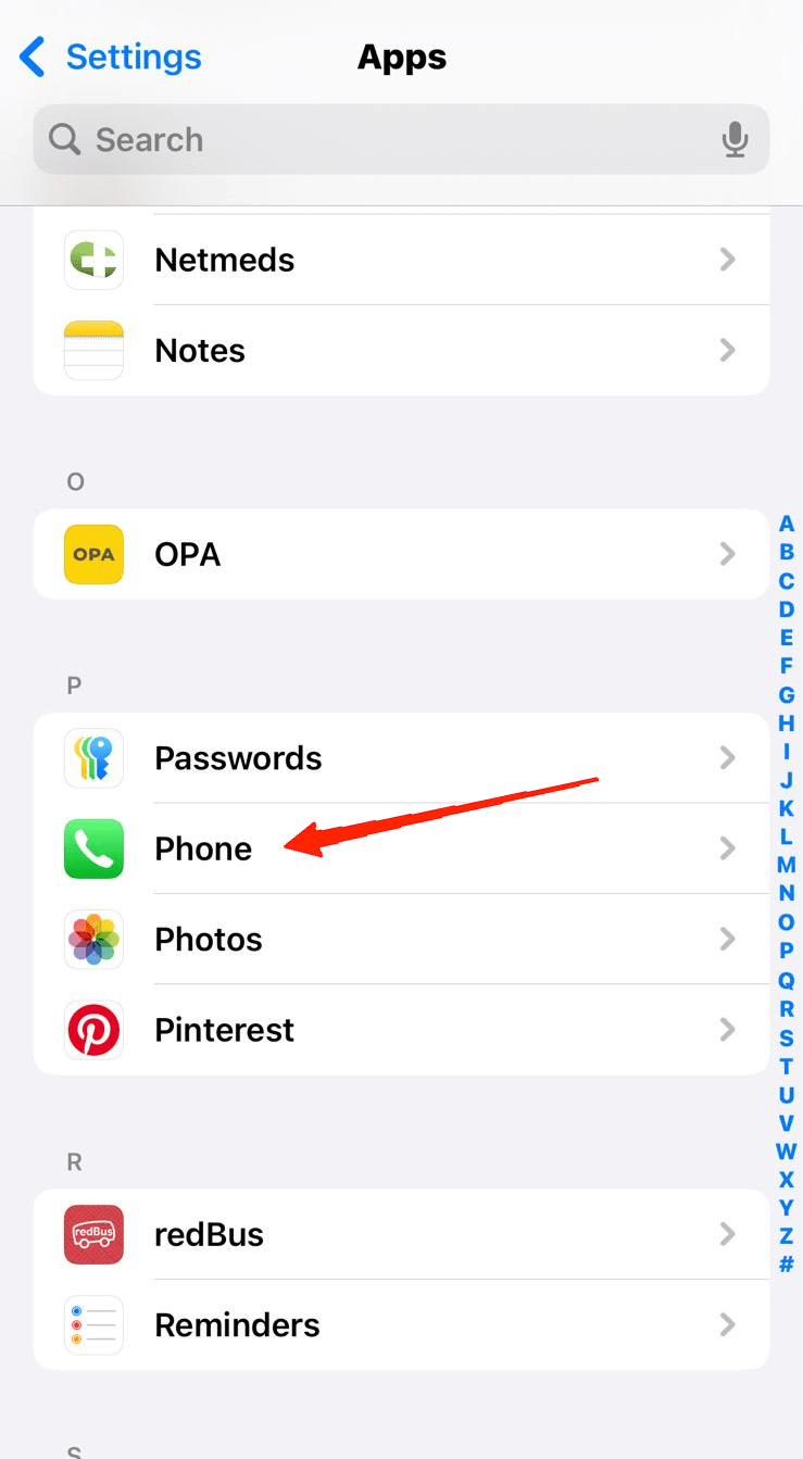 How to Fix iOS 18 Call Recording Not Working on iPhone 4 Again, scroll down, locate, and tap on the "Phone app".