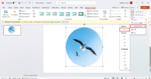 Crop picture using aspect ratio