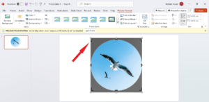 How to Crop a Picture Into a Circle in Microsoft PowerPoint 6 Drag the picture using corner arrow