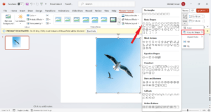Choose circle from crop to shape option