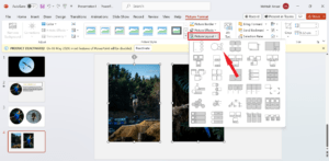 Crop multiple images using the picture layout 