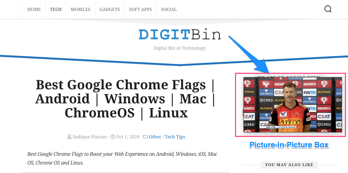 Enable PiP Mode for any Video in Chrome Browser for Desktop 5 Picture-in-Picture Box