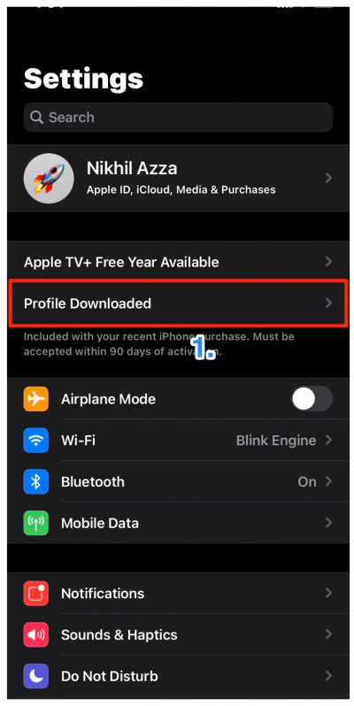 How to Download PandaHelper on iPhone? 3 Profile_Downloaded_iPhone