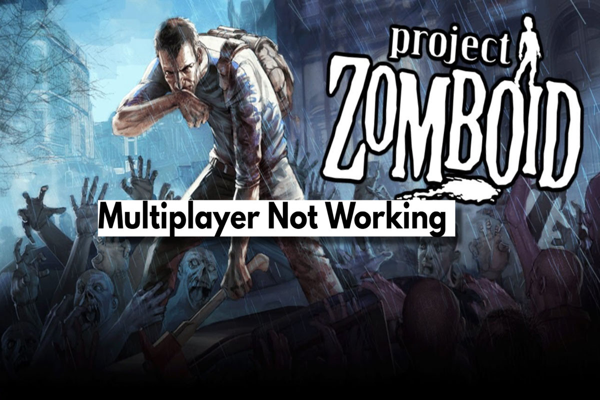 How to Fix Project Zomboid Multiplayer Not Working? 1 Fix: Project Zomboid Multiplayer Not Working