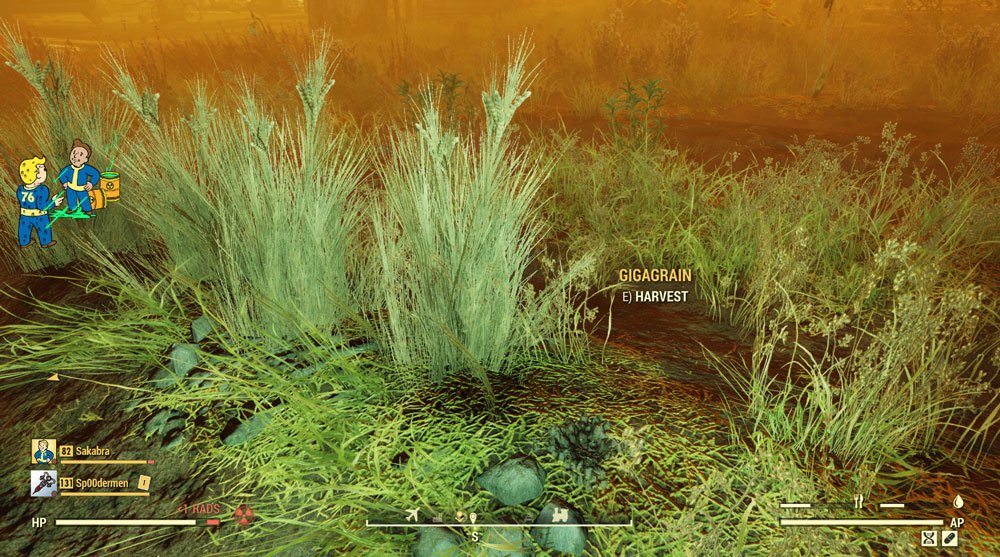 Fallout 76: Best Locations to Find Razorgrain 2 What is Razorgrain in Fallout 76?