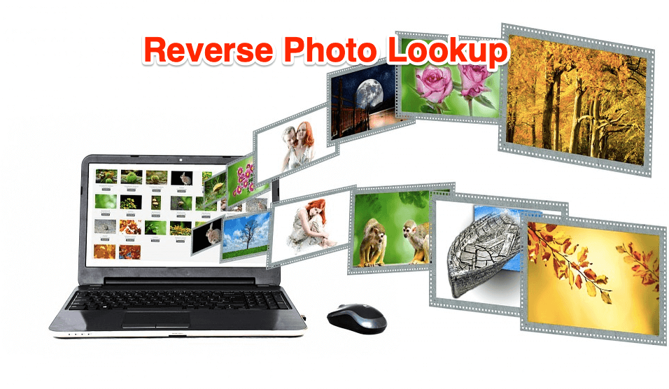 How to Do Reverse Image Lookup? | Complete Guide 1 Reverse Photo Lookup