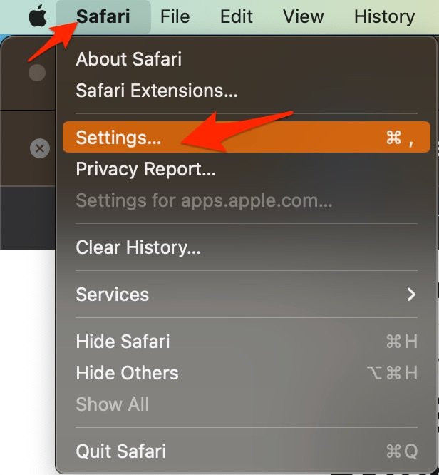Safari Settings