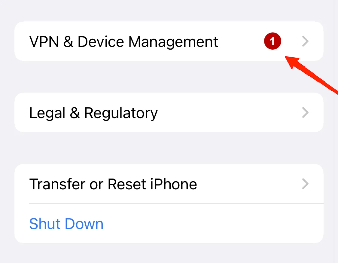 How to Downgrade From iOS 18 Beta to iOS 17 Without Losing Data 10 Scroll down and tap on VPN & Device Management.