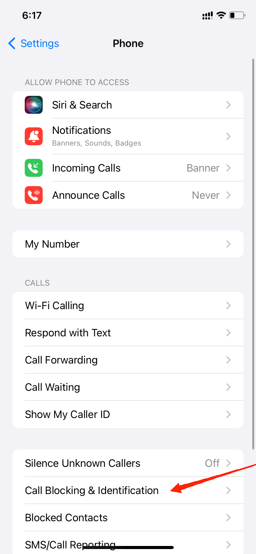 How to Fix Truecaller Not Showing Names for Incoming Call on iPhone 11 Scroll down to the call blocking and identification section.