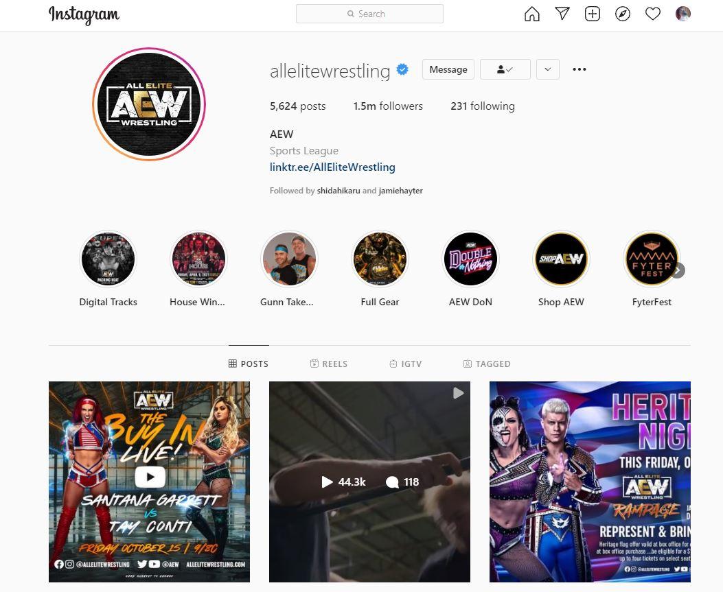 How to View Full-Size Instagram Photos? 14 Search for the account from where you want to download multiple images