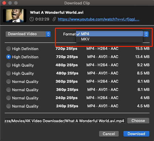 4K Video Downloader to Download YT Playlist for PC 6 Select_Format