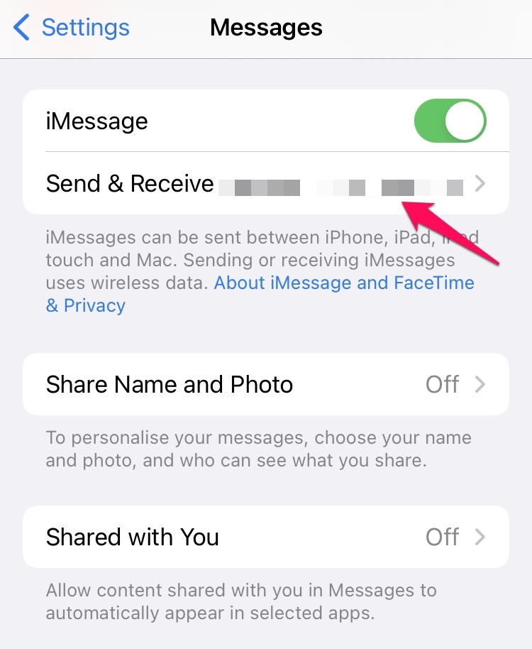 How to Fix 'iMessage Not Delivered' Error on iPhone? 7 Send and Receive