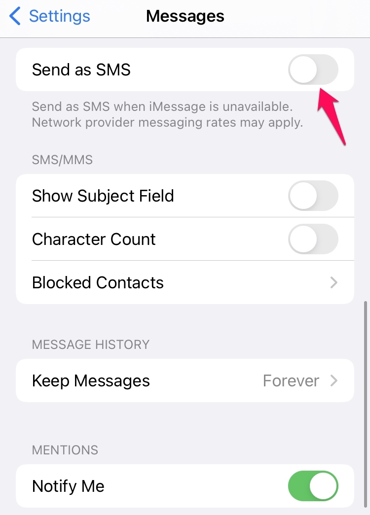 How to Fix 'iMessage Not Delivered' Error on iPhone? 4 Send as SMS