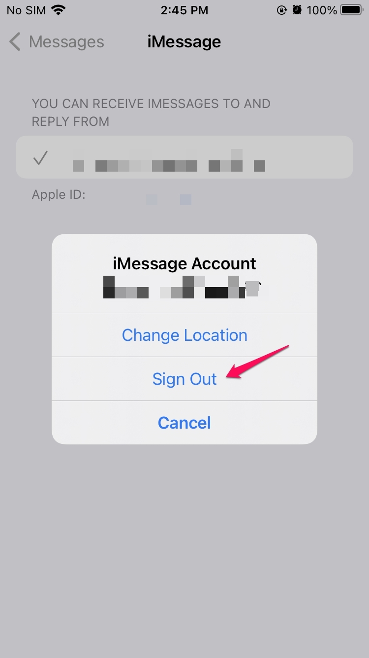 How to Fix 'iMessage Not Delivered' Error on iPhone? 8 Sign Out