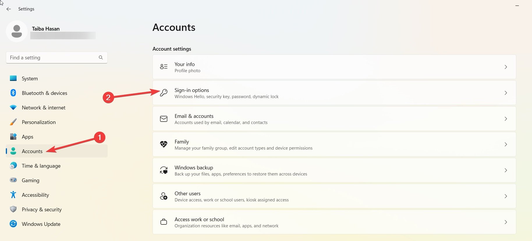 Sign in options